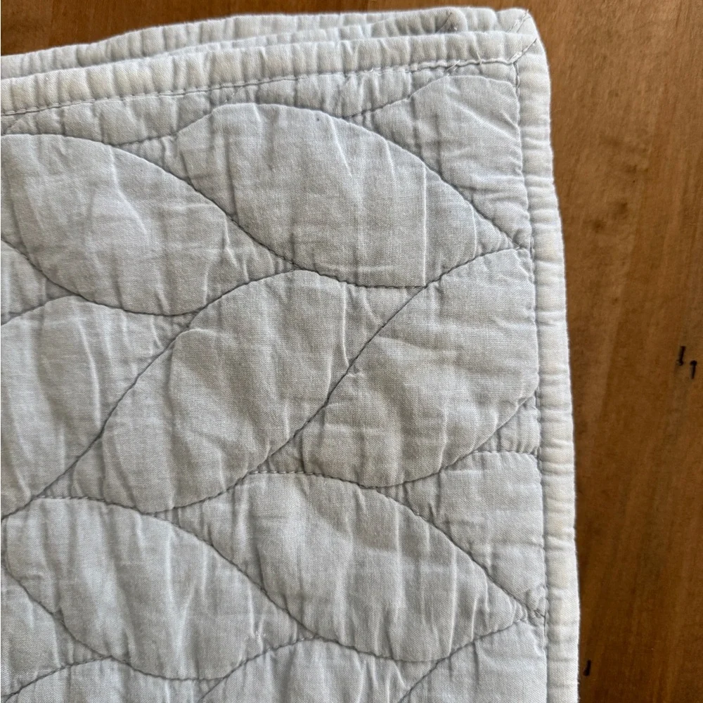 West Elm Elegant Quilted Pillow Sham Standard